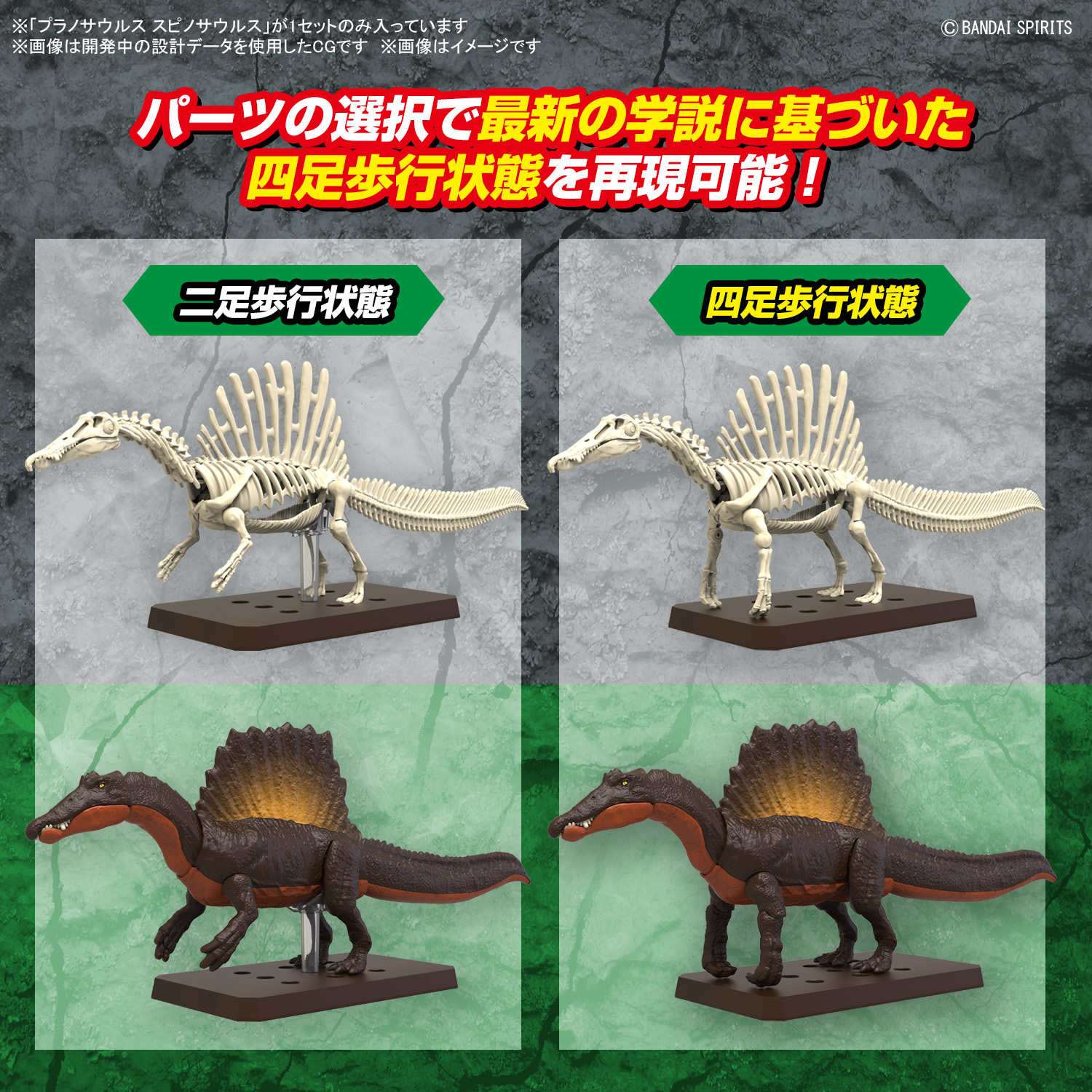 恐龙拼装模型 棘龙 04