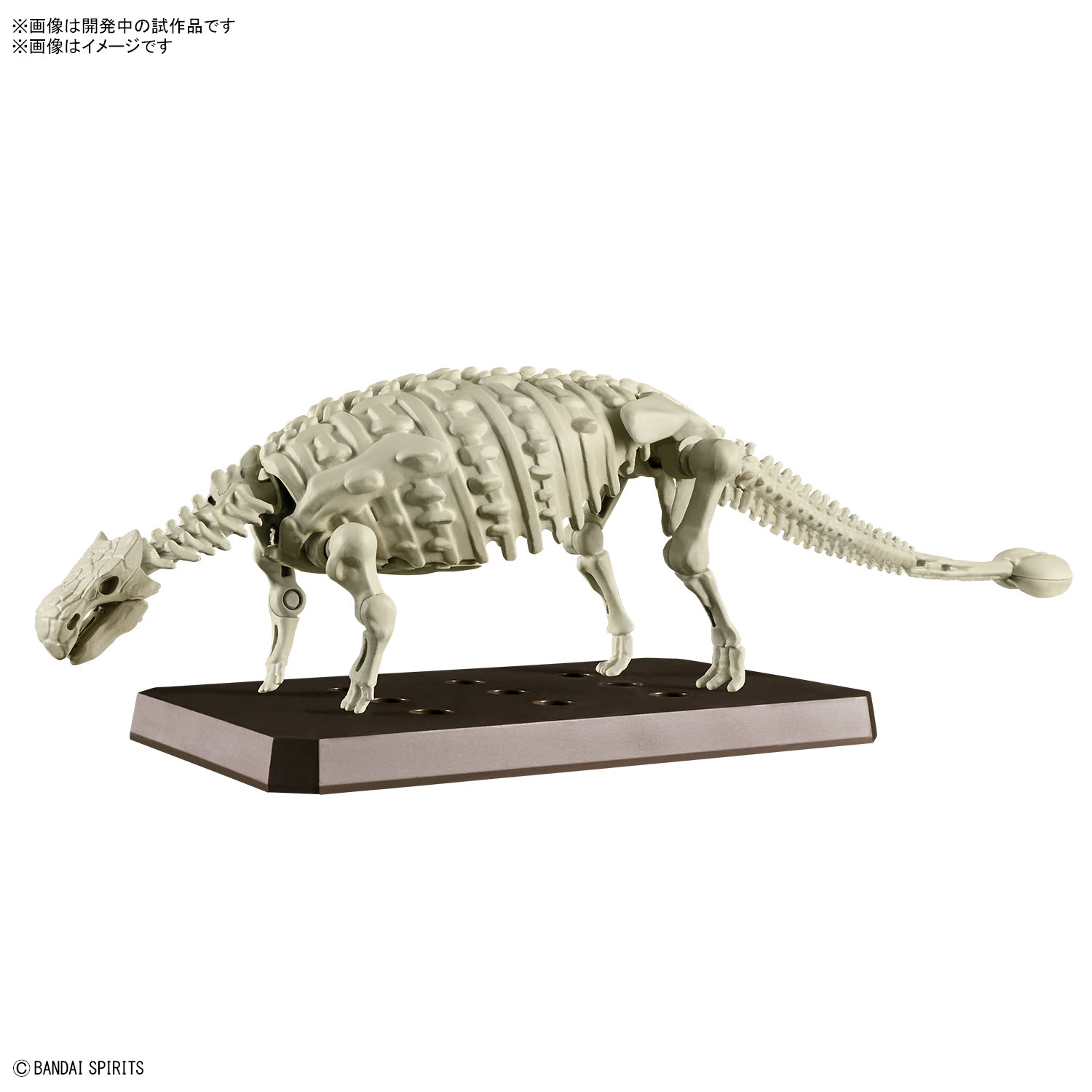 恐龙拼装模型 甲龙 06