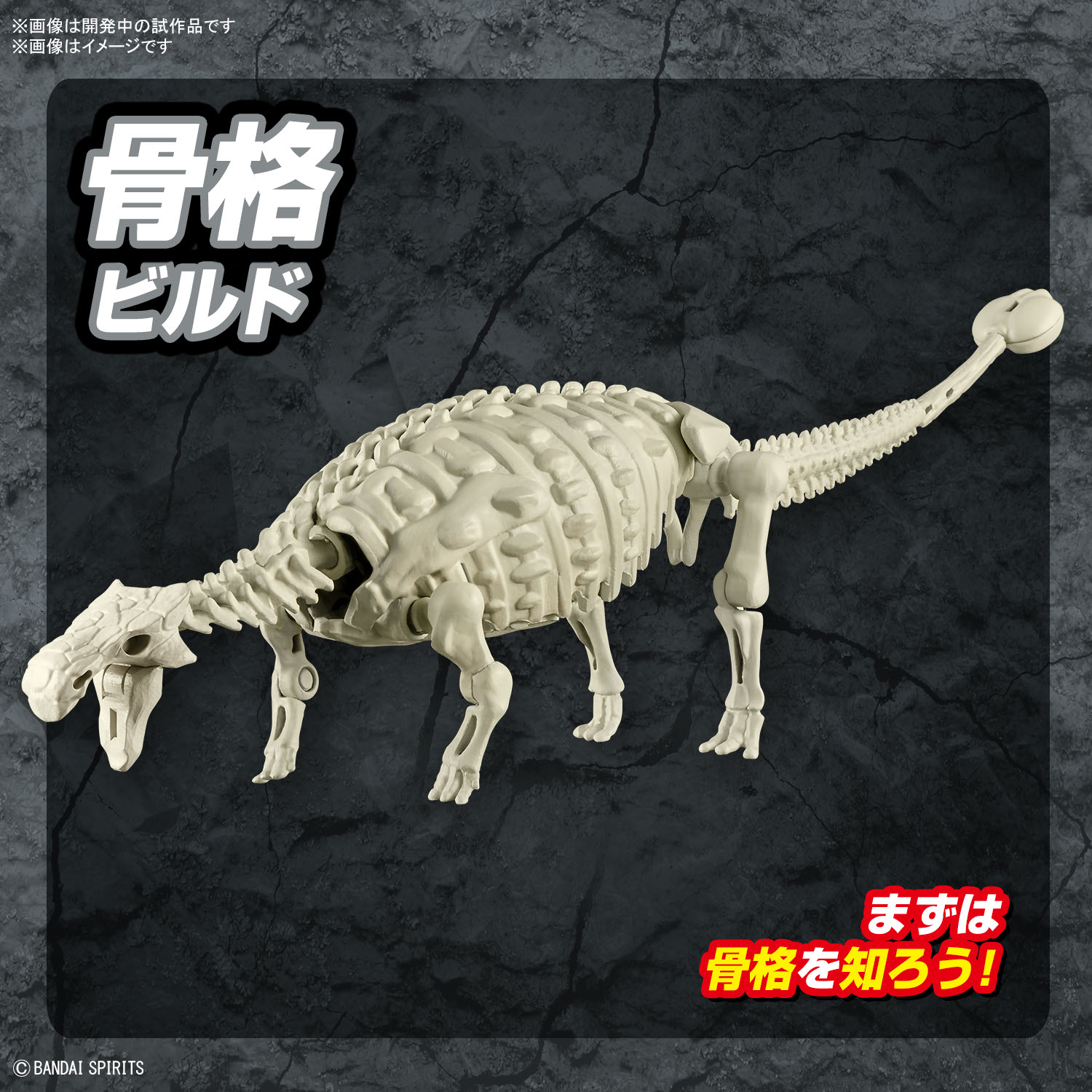 恐龙拼装模型 甲龙 03