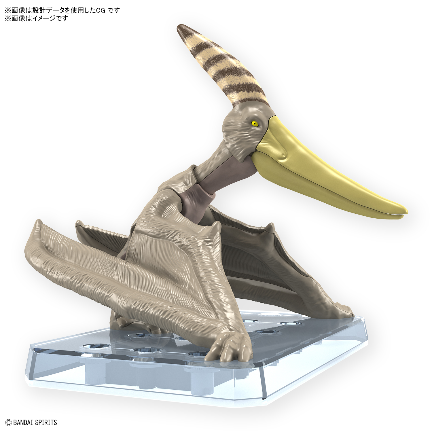 恐龙拼装模型 无齿翼龙 03