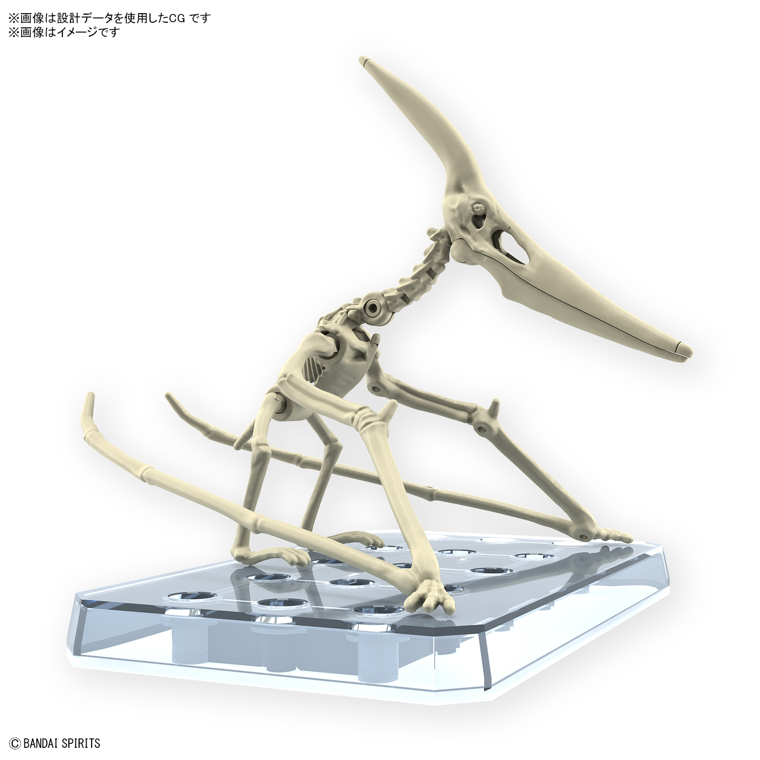恐龙拼装模型 无齿翼龙 04