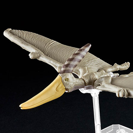 恐龙拼装模型 无齿翼龙